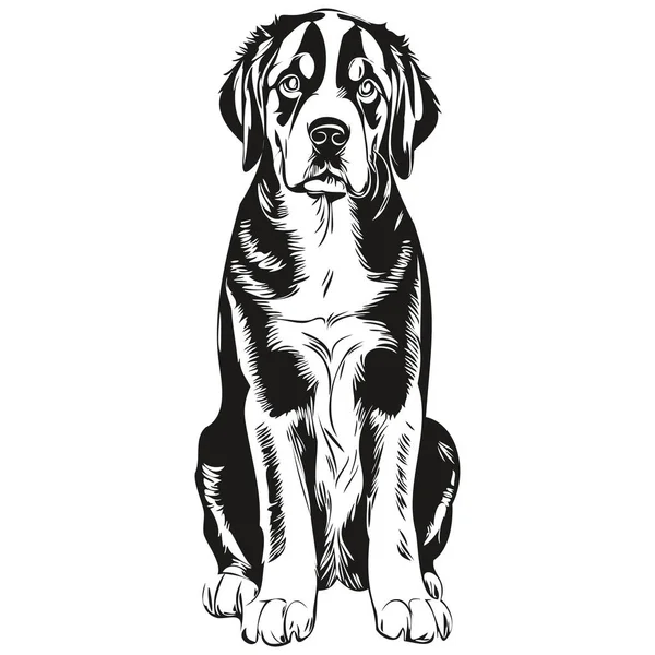 Grote Zwitserse Mountain Dog Hand Getrokken Logo Tekening Zwart Wit — Stockvector