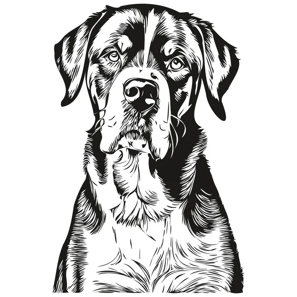 より大きなスイスの山の犬は 黒と白の現実的な品種のペットでベクトルの肖像画 顔の漫画のヴィンテージ図面を刻ま — ストックベクタ