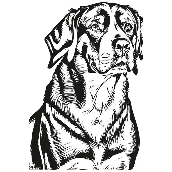 Grande Suíço Cão Montanha Rosto Vetor Retrato Engraçado Esboço Animal —  Vetores de Stock