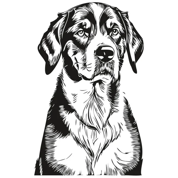 スイスの山の犬の手描きのロゴは黒と白のラインアートペットイラスト現実的な品種のペットを描く — ストックベクタ