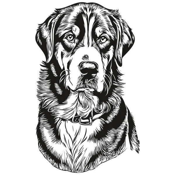 Större Schweiziska Mountain Hund Huvud Linje Ritning Vektor Handritad Illustration — Stock vektor