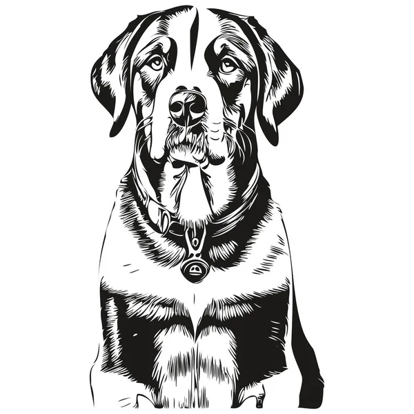 Gran Perro Montaña Suizo Dibujado Mano Logo Dibujo Blanco Negro — Vector de stock