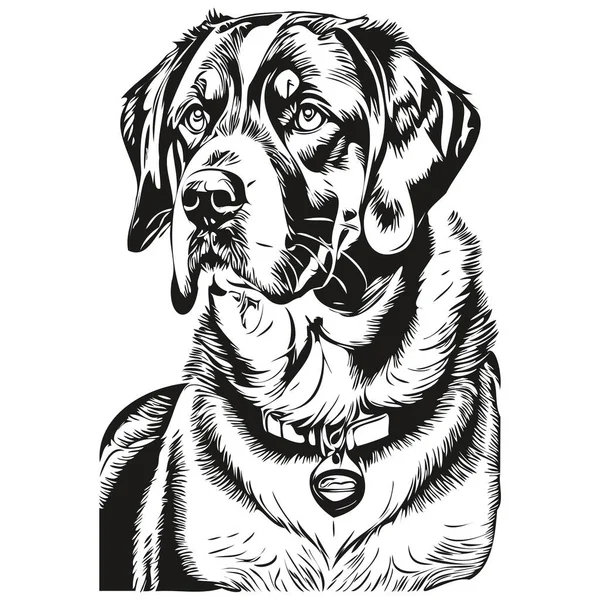 Greater Swiss Mountain Dog Ink Sketch Drawing Vintage Tattoo Shirt — Stock Vector