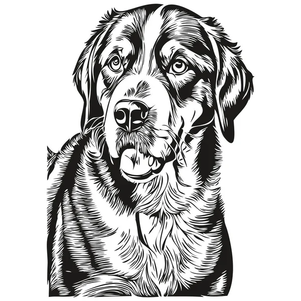 Grande Suíço Mountain Dog Isolado Desenho Fundo Branco Cabeça Pet — Vetor de Stock