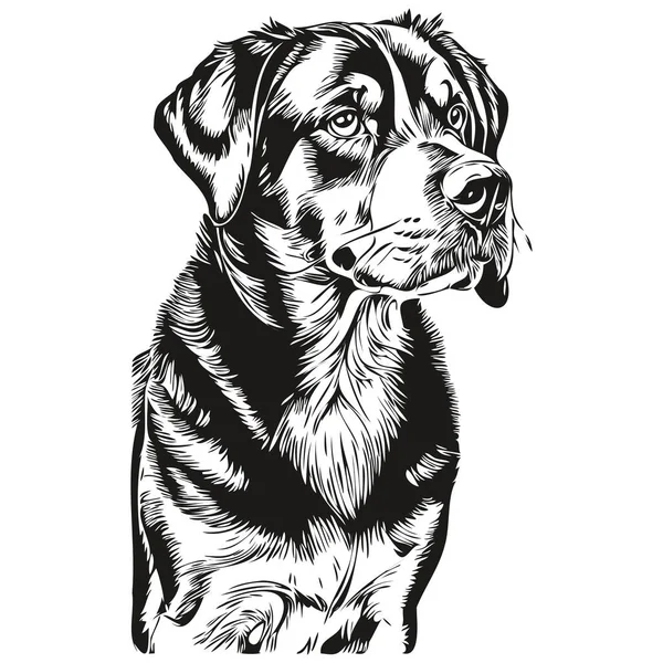 Büyük Sviçre Dağ Köpeği Logosu Siyah Beyaz Klasik Sevimli Köpek — Stok Vektör