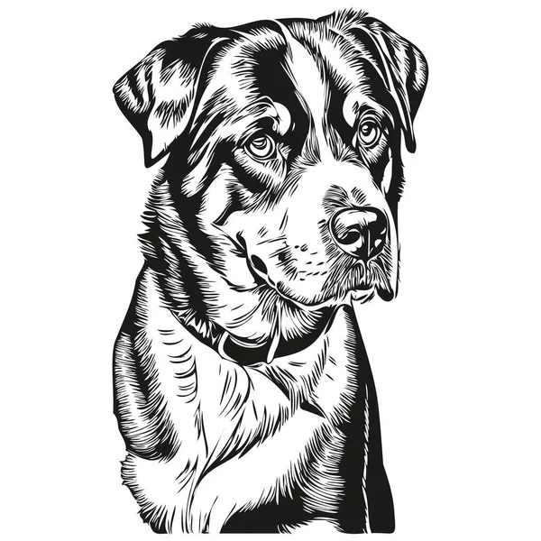 Вектор Логотипа Собаки Большой Швейцарской Горы Чёрно Белый Винтажный Миленький — стоковый вектор