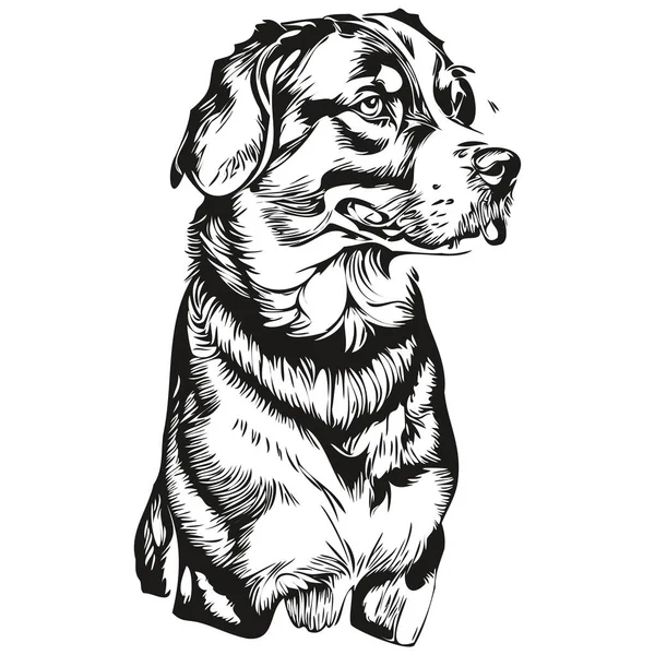 Вектор Логотипа Собаки Большой Швейцарской Горы Черный Белый Выгравированной Головой — стоковый вектор