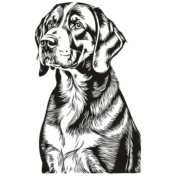 Grande Suíço Cão Montanha Pet Silhueta Animal Linha Ilustração Mão —  Vetores de Stock