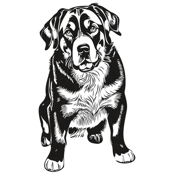 Gran Suizo Perro Montaña Mascota Silueta Animal Línea Ilustración Dibujado — Vector de stock