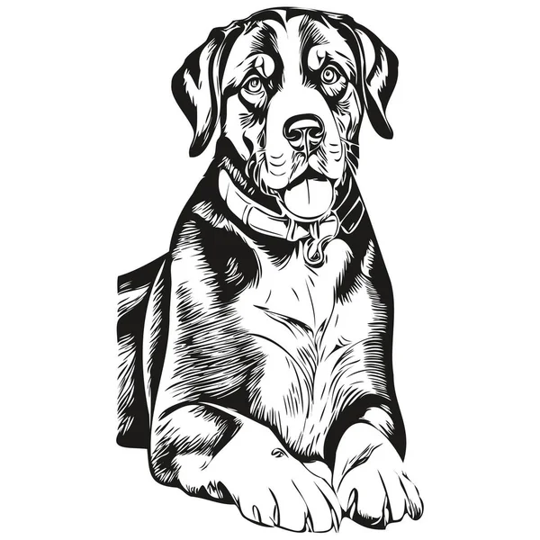 大きなスイスマウンテン犬の鉛筆手描きベクトル アウトラインイラストペットの顔のロゴ黒と白 — ストックベクタ