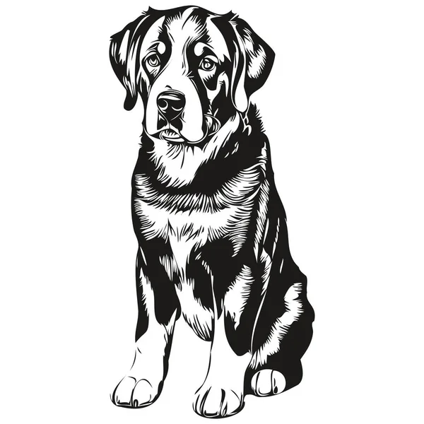 Grote Zwitserse Berg Hond Huisdier Schets Illustratie Zwart Wit Graveren — Stockvector