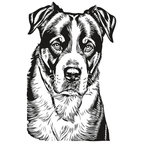 Gran Perro Montaña Suizo Boceto Ilustración Grabado Blanco Negro Dibujo — Vector de stock