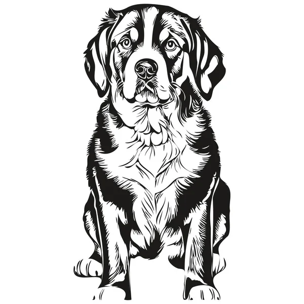 Větší Švýcarský Horský Pes Portrét Vektoru Zvířecí Ruční Kresba Pro — Stockový vektor