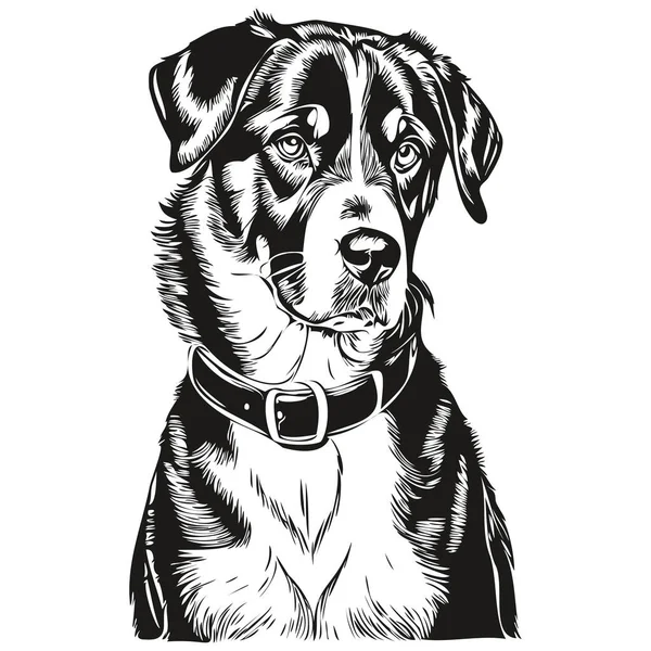 Greater Swiss Mountain Dog Portrait Vector Animal Hand Drawing Tattoo — Stock Vector