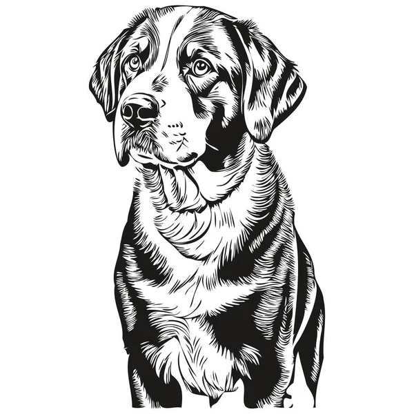 Большая Швейцарская Горная Собака Реалистичный Карандашный Рисунок Векторе Линия Художественной — стоковый вектор