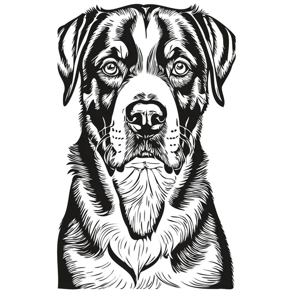 Большая Швейцарская Горная Собака Реалистичная Иллюстрация Питомца Лицо Черно Белого — стоковый вектор