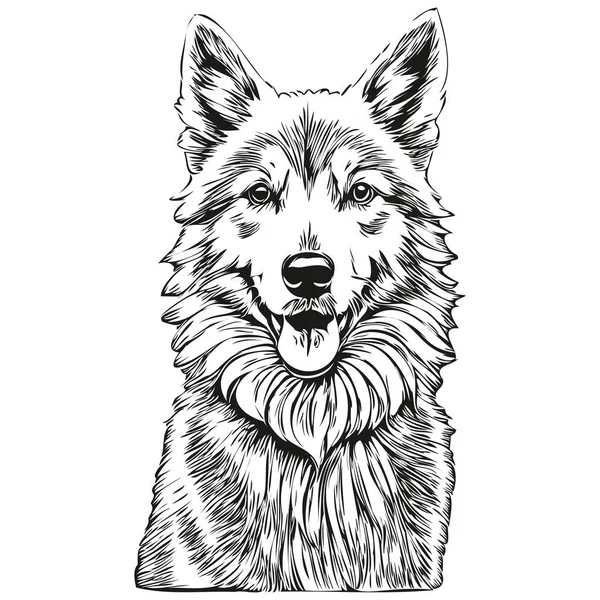 Islandês Sheepdog Cão Preto Desenho Vetor Isolado Pintura Rosto Esboço — Vetor de Stock