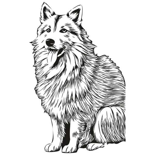 冰岛牧羊犬卡通画面部油墨肖像 黑白素描 T恤打印逼真品种宠物 — 图库矢量图片
