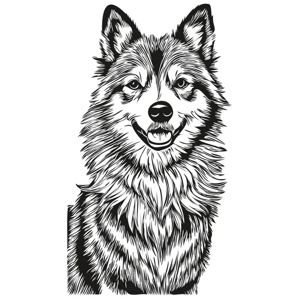 冰岛牧羊犬手绘标识 画黑白线条的艺术宠物图解逼真的品种宠物 — 图库矢量图片