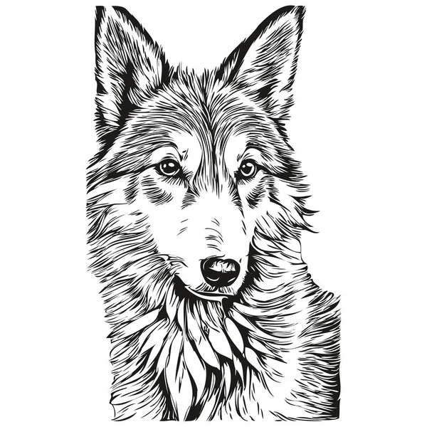 冰岛牧羊犬标志向量黑白 老式可爱的狗头刻有逼真的品种宠物狗 — 图库矢量图片