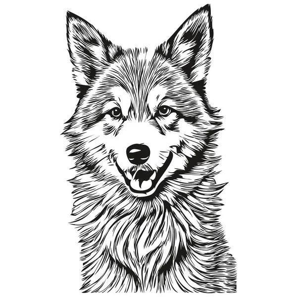 Islandské Ovčák Pes Logo Vektor Černá Bílá Vintage Roztomilý Pes — Stockový vektor