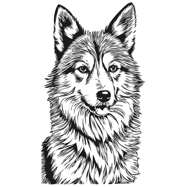 冰岛牧羊犬铅笔画图矢量 图解宠物脸标识黑白逼真品种宠物 — 图库矢量图片