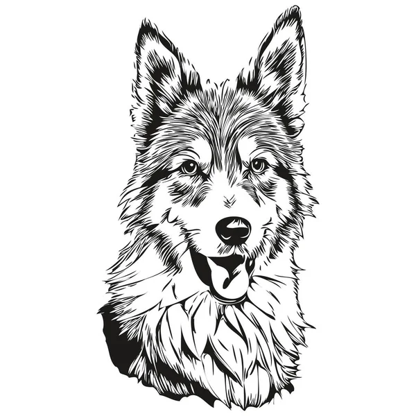 Isländischer Schäferhund Skizziert Bleistiftzeichnung Schwarzer Charakter Auf Weißem Hintergrund Skizzenzeichnung — Stockvektor