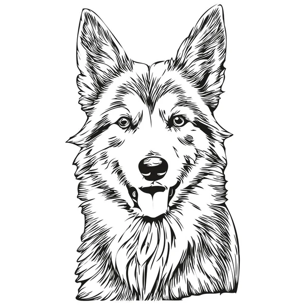 Isländischer Schäferhund Umriss Bleistiftzeichnung Grafik Schwarzer Charakter Auf Weißem Hintergrund — Stockvektor