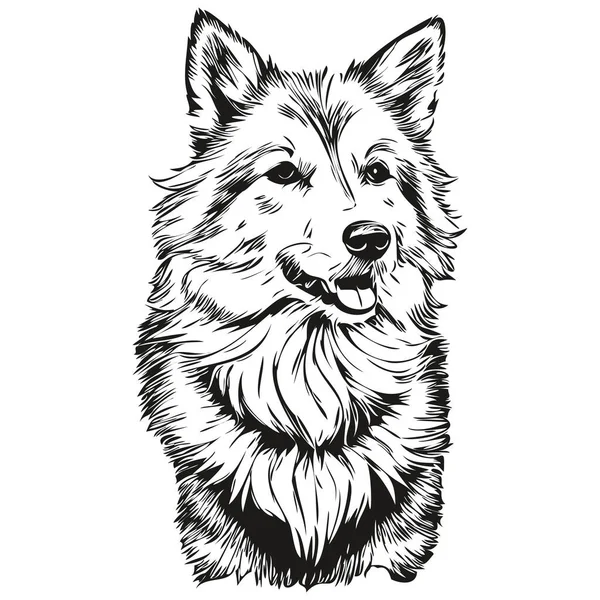 冰岛牧羊犬写实主义铅笔矢量画图 狗脸黑白素描线条艺术图解 — 图库矢量图片