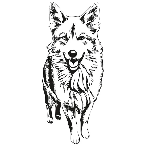 아이슬란드어 Sheepdog Real Pencil Draw Vector Line Art Illustration Dog — 스톡 벡터