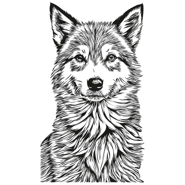 冰岛牧羊犬写实铅笔画中的矢量 狗脸黑白写实宠物的线条艺术图解 — 图库矢量图片