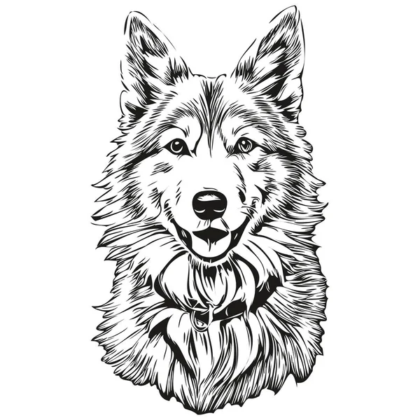 Islandés Perro Pastor Realista Mascota Ilustración Dibujo Mano Cara Negro — Vector de stock