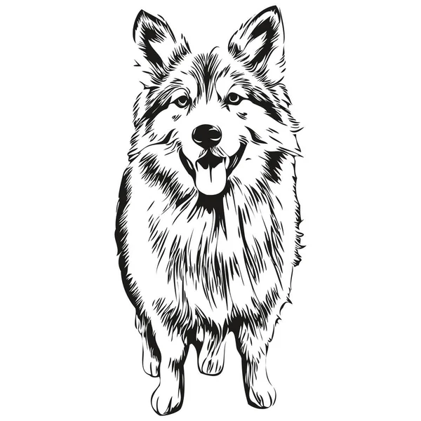冰岛牧羊犬T恤印着黑白照片 可爱滑稽的轮廓画图矢量 — 图库矢量图片