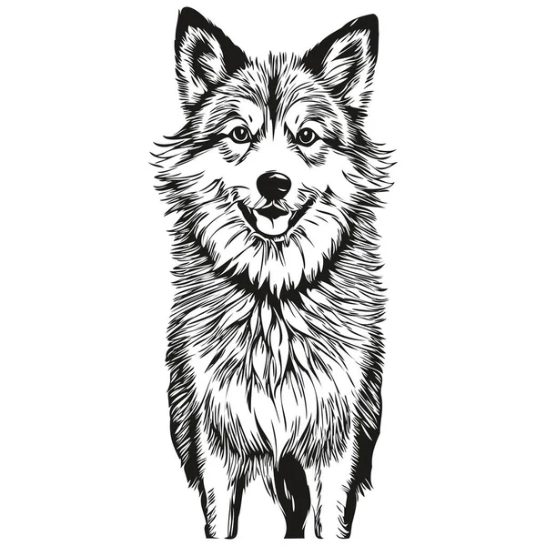 冰岛牧羊犬人物造型宠物人物形象 剪贴画艺术载体宠物画黑白素描 — 图库矢量图片