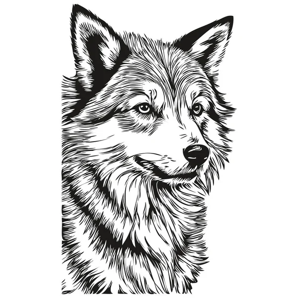 Isländischer Schäferhund Shirt Print Schwarz Weiß Süße Lustige Umrisszeichnung Vektorskizze — Stockvektor