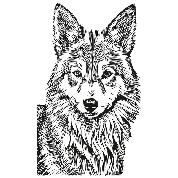 Chien Berger Islandais Graphiques Vectoriels Dessin Main Crayon Animal Ligne — Image vectorielle