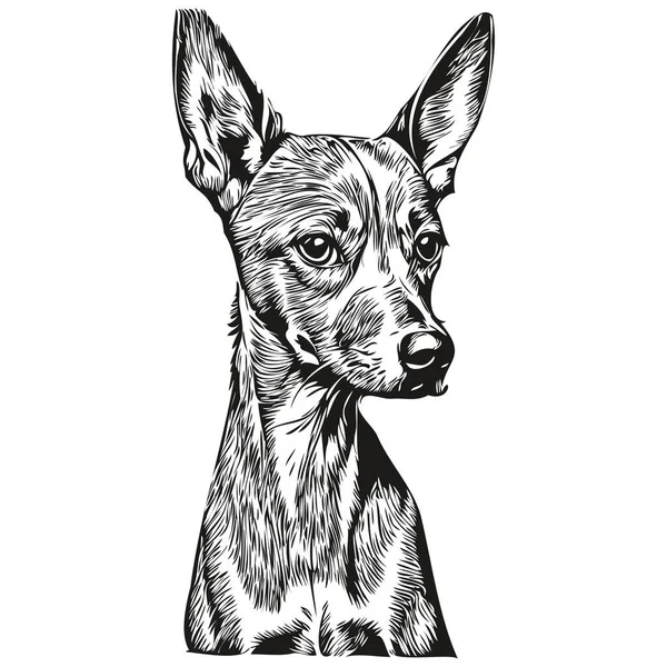 Włoski Pies Greyhound Ręcznie Rysowane Logo Rysunek Czarno Biały Linia — Wektor stockowy