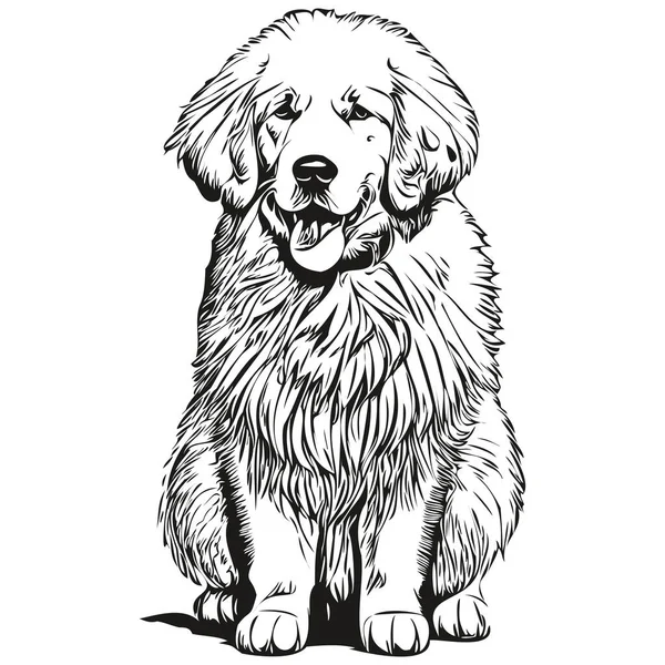 Kuvaszok Dog Cartoon Face Ink Portrait Black White Sketch Drawing — Stock Vector