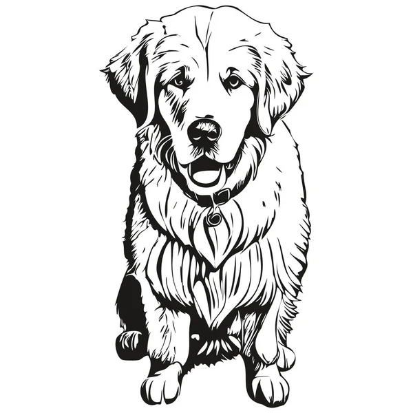 Kuvaszok Σκυλί Πρόσωπο Διάνυσμα Πορτρέτο Αστείο Περίγραμμα Κατοικίδιο Ζώο Απεικόνιση — Διανυσματικό Αρχείο