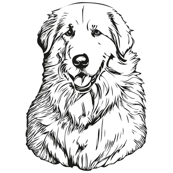 Kuvaszok Dog Line Illustration Black White Ink Sketch Face Portrait — 스톡 벡터