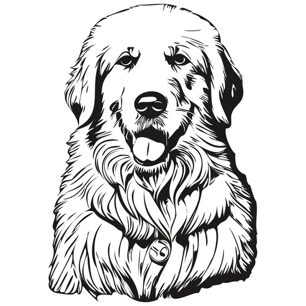 Kuvaszok Pes Logo Vektor Černá Bílá Vintage Roztomilý Pes Hlava — Stockový vektor