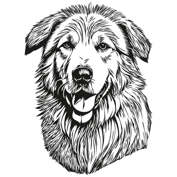 クヴァズク犬の肖像画ベクトル 動物の手描きの入れ墨やTシャツのプリントイラスト — ストックベクタ