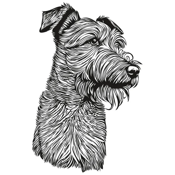 Lakeland Terrier Chien Noir Dessin Vecteur Isolé Visage Peinture Croquis — Image vectorielle