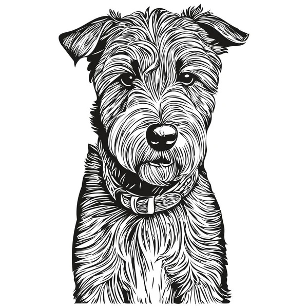 Lakeland Terrier Cão Raça Linha Desenho Clip Arte Animal Mão —  Vetores de Stock