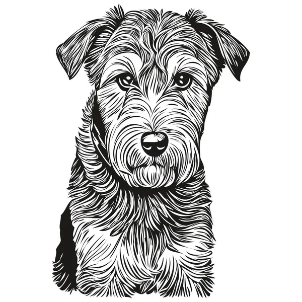 Lakeland Terrier Chien Race Ligne Dessin Clip Art Animal Dessin — Image vectorielle