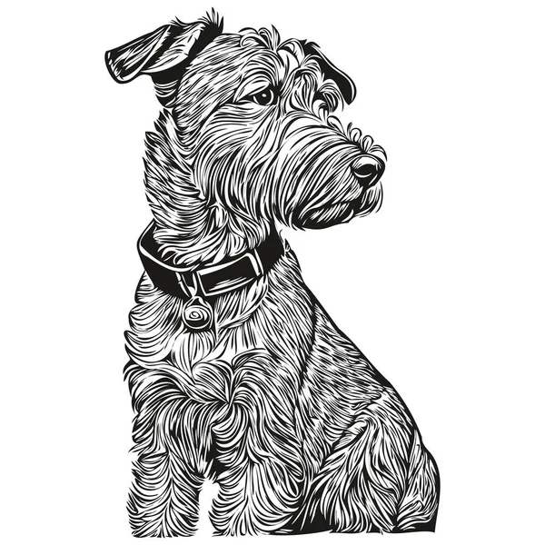Lakeland Terrier Dog Cartoon Face Ink Portrait Black White Sketch — Stock Vector