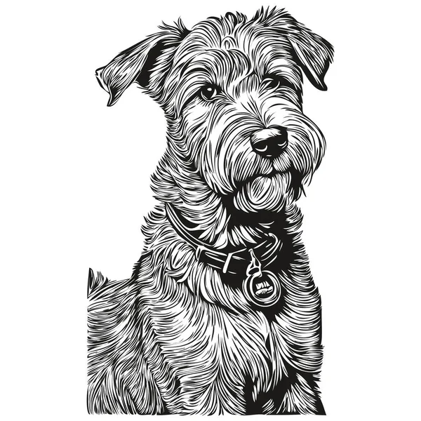 Lakeland Terrier Chien Gravé Portrait Vectoriel Dessin Vintage Dessin Animé — Image vectorielle