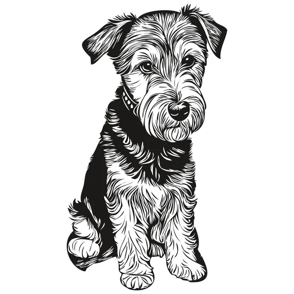 Lakeland Terrier Chien Visage Vecteur Portrait Drôle Contour Animal Illustration — Image vectorielle