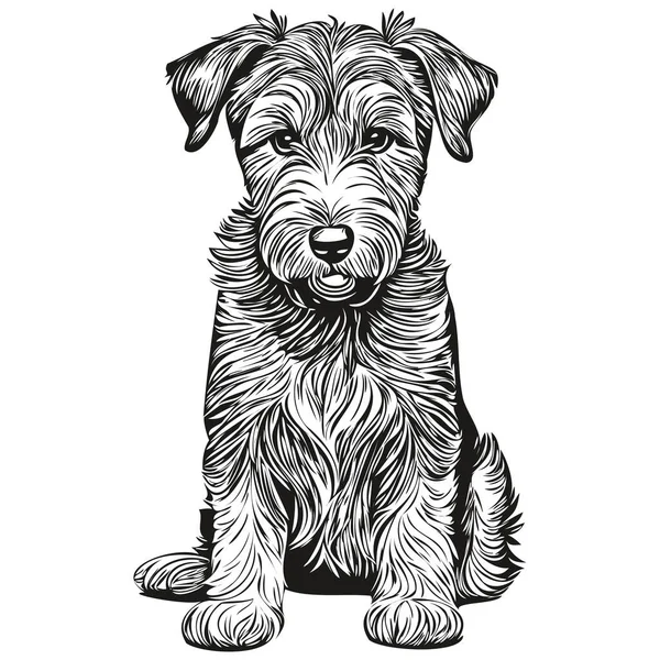 Lakeland Terrier Chien Visage Vecteur Portrait Drôle Contour Animal Illustration — Image vectorielle