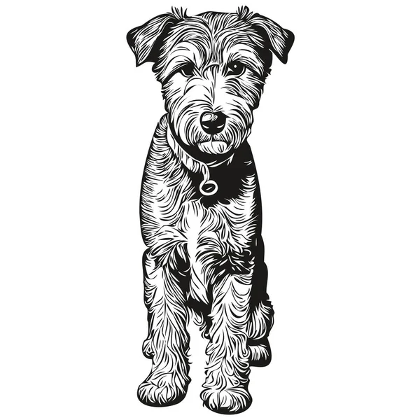 Lakeland Terrier Chien Contour Crayon Dessin Illustration Caractère Noir Sur — Image vectorielle